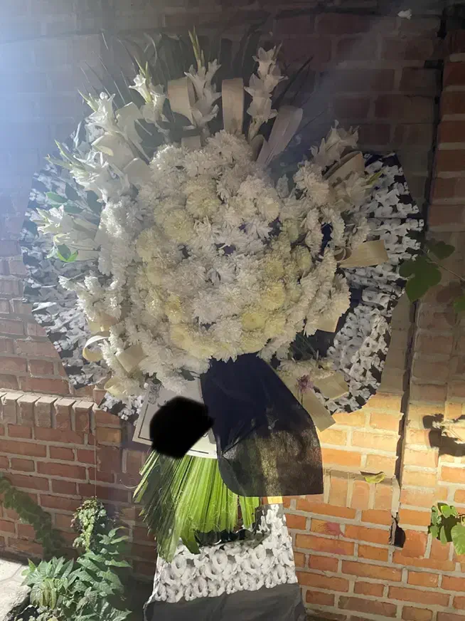 تاج گل|گل و گیاه طبیعی|تهران, باغ فیض|دیوار