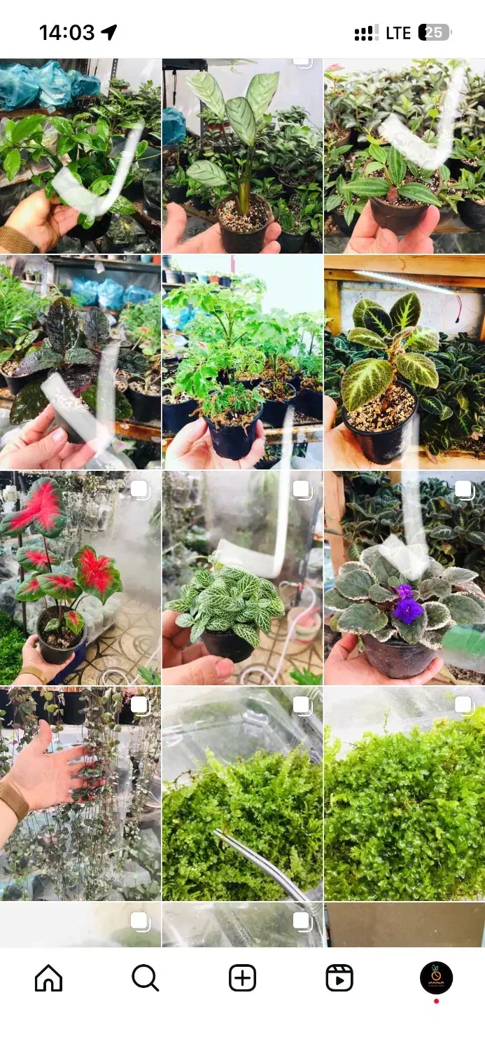 استخدام کارگر خانوم جهت تازیین گل و گیاه|استخدام خدمات فروشگاه و رستوران|محمدشهر, محمدشهر|دیوار