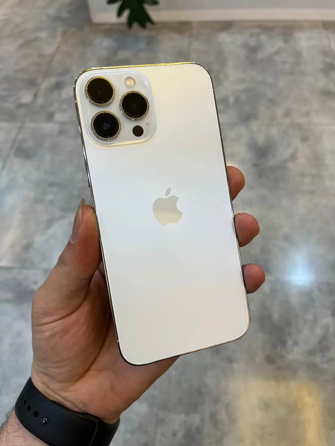 iphone 13 promax|موبایل|فریدون‌کنار, |دیوار