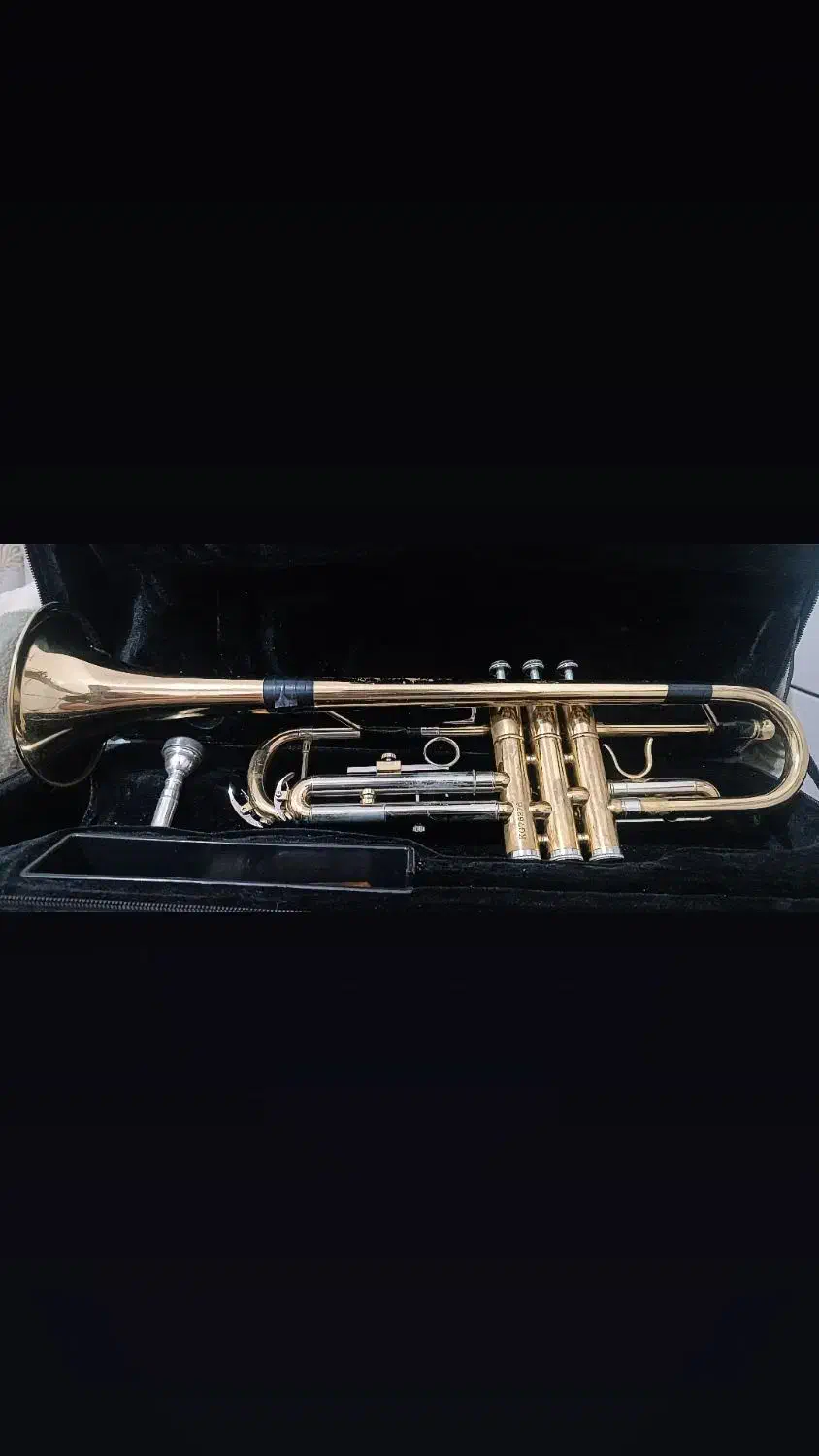 ترومپت بست فان|سازهای بادی|راور, |دیوار