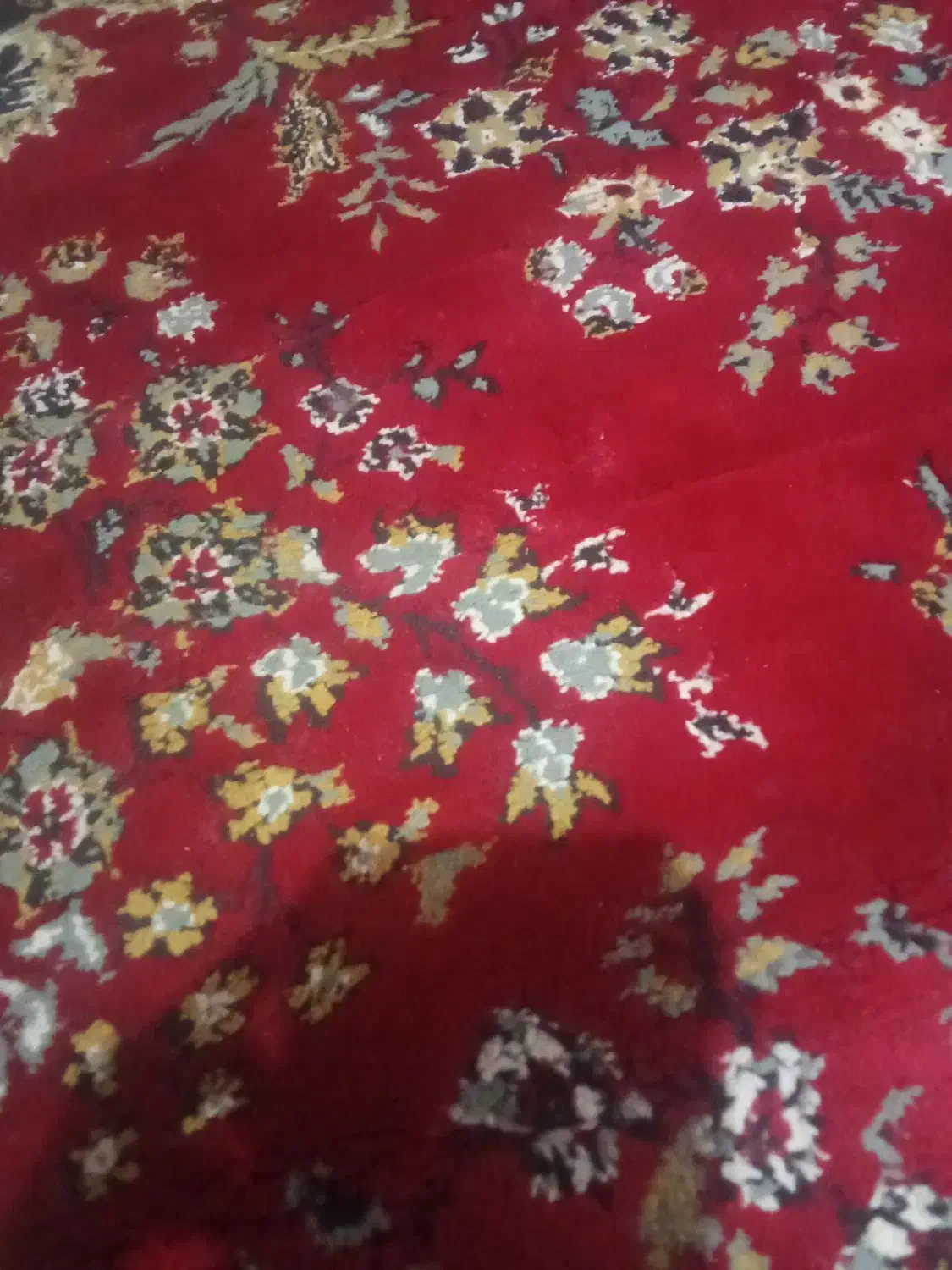 نظافت منزل|خدمات نظافت|بم, |دیوار