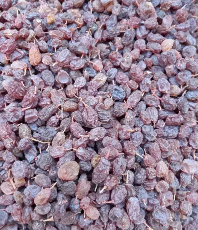 کشمش آفتابی شال|خوردنی و آشامیدنی|شال, |دیوار