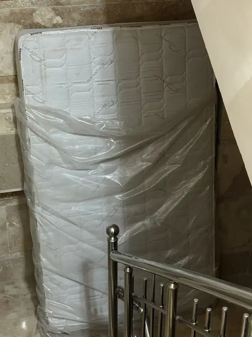 تشک|تشک تختخواب|رشت, کاکتوس|دیوار