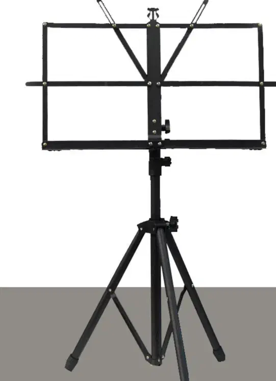 فروش ویولن ، بدون عیب|ویولن|سقز, |دیوار