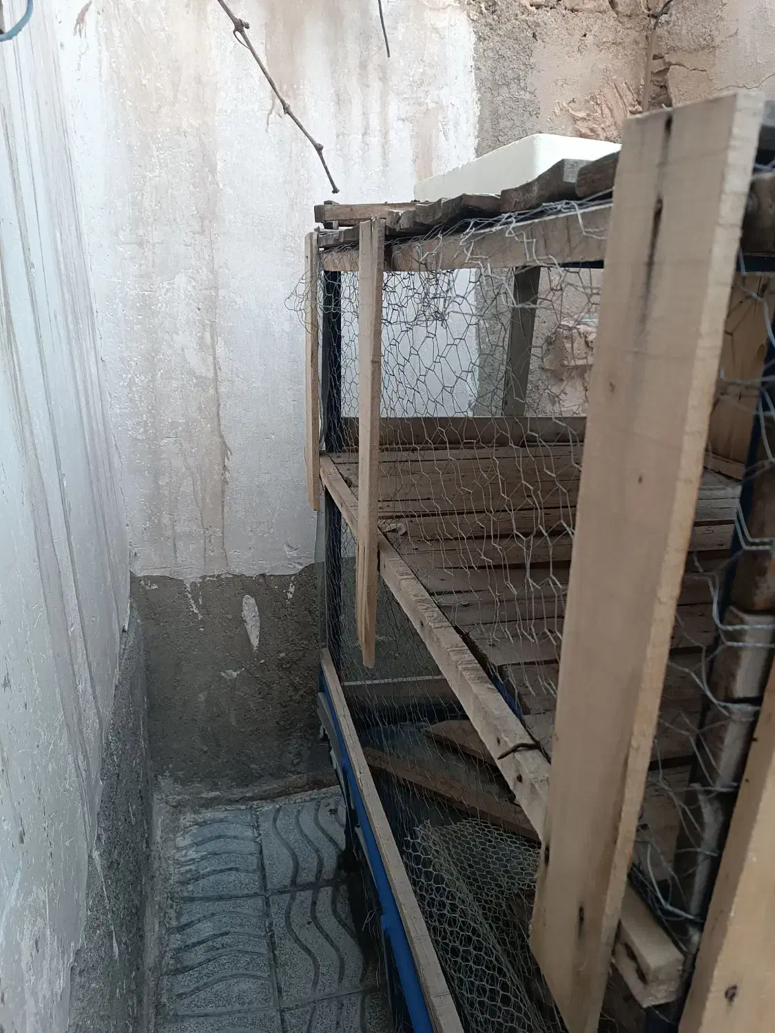 چهارچرخ.همراه‌باقفس.دوطبقه|لوازم جانبی حیوانات|شوط, |دیوار