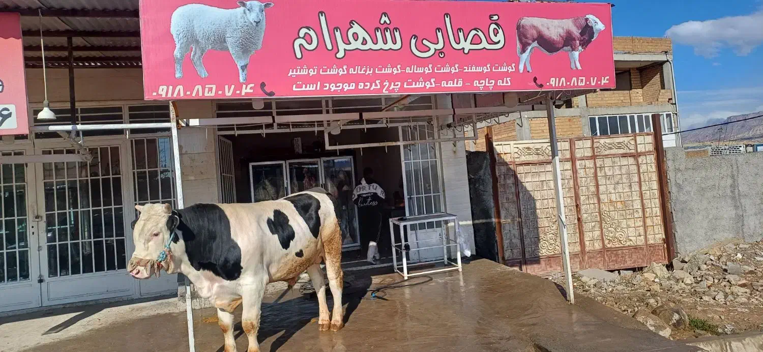 گوشت|خوردنی و آشامیدنی|ایلام, |دیوار