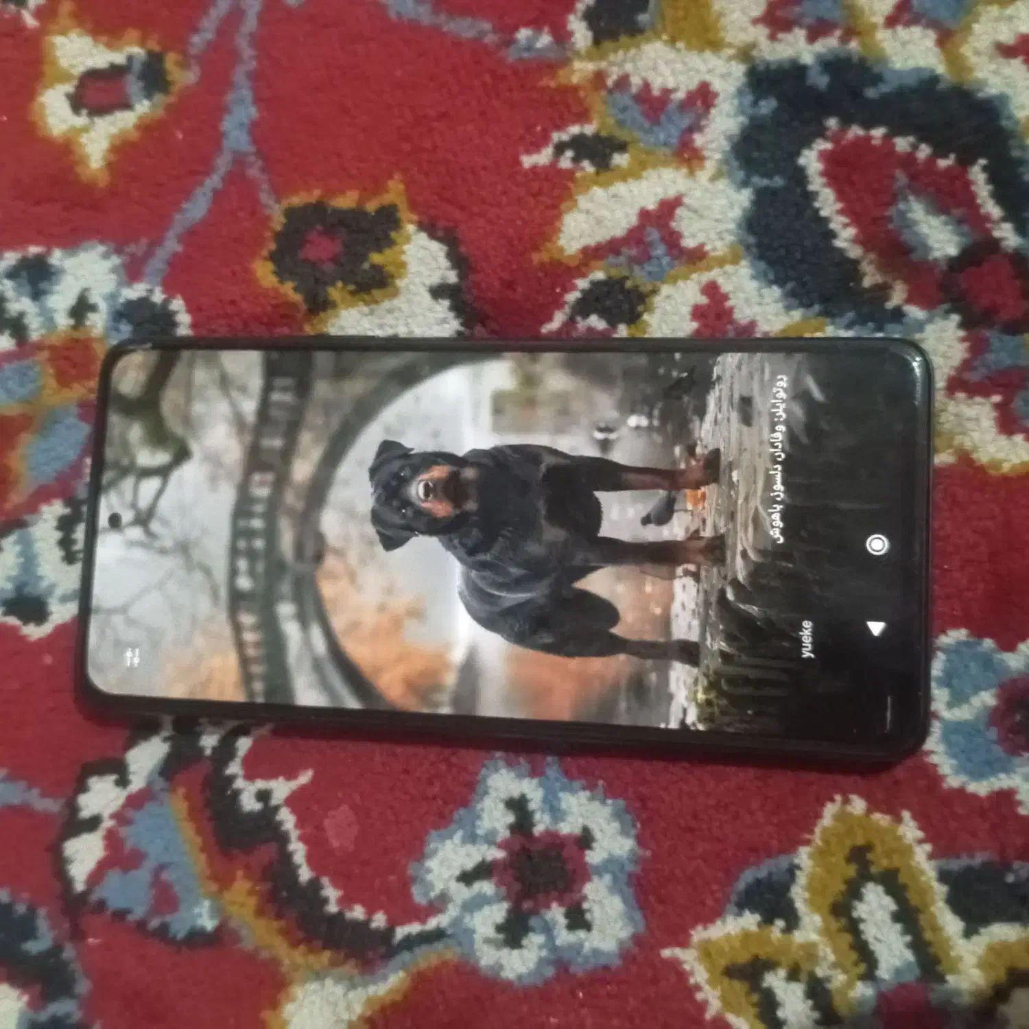 فروش گوشی|موبایل|کنارک, |دیوار