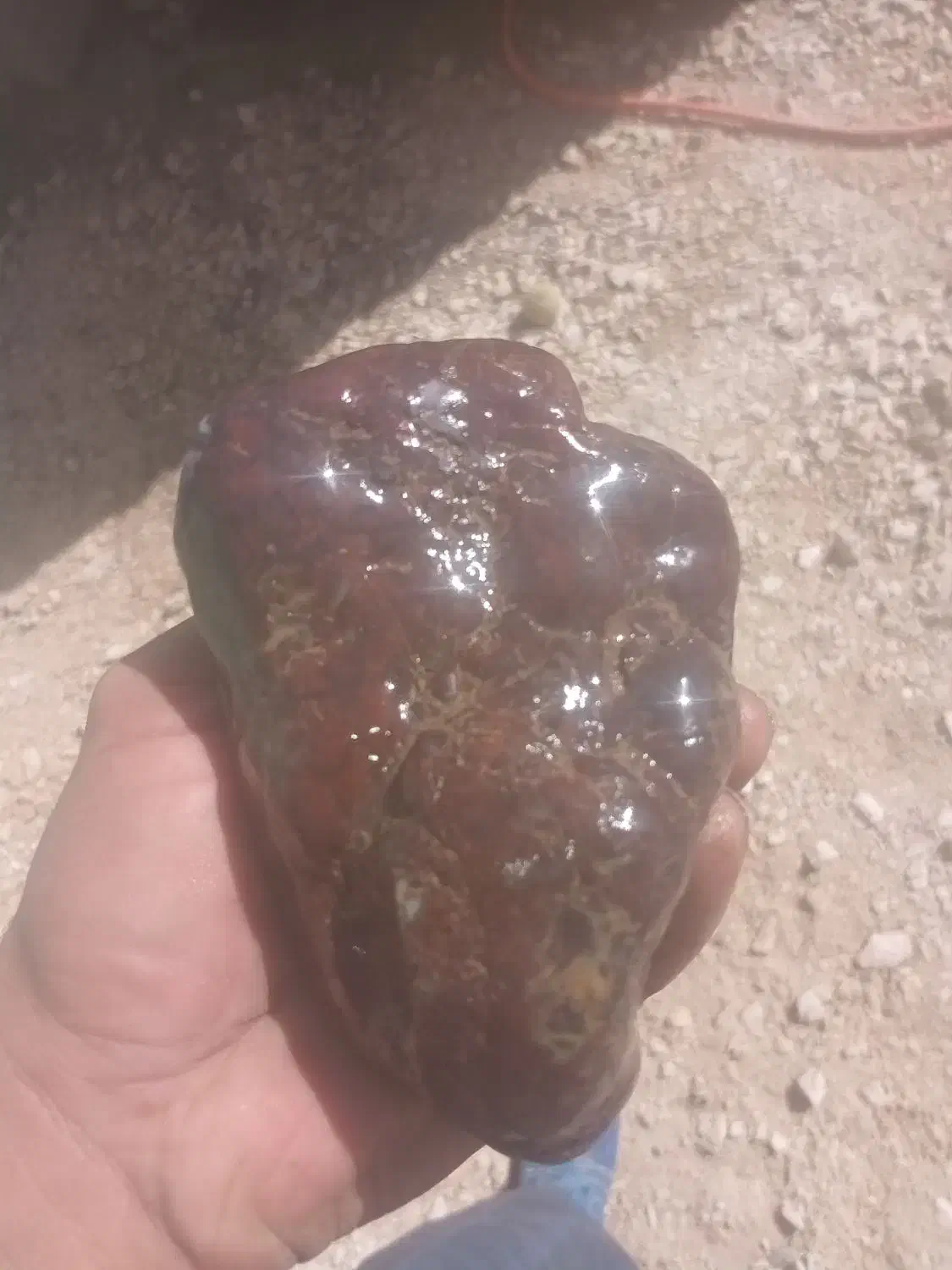 سنگ قیمتی به هر عنوانها|کلکسیون اشیاء عتیقه|بیجار, |دیوار