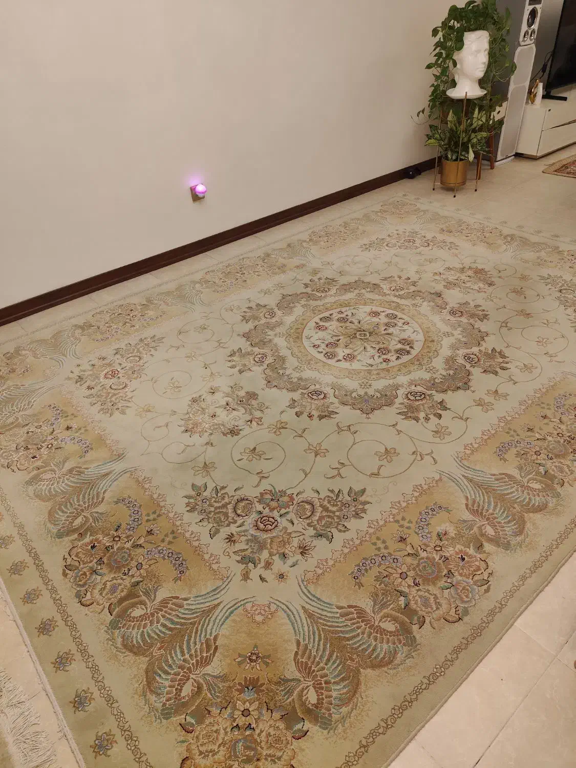 یک تخته فرش ۹ متری کاملا سالم به همراه روفرشی مخمل|فرش|قدس, شهرقدس|دیوار