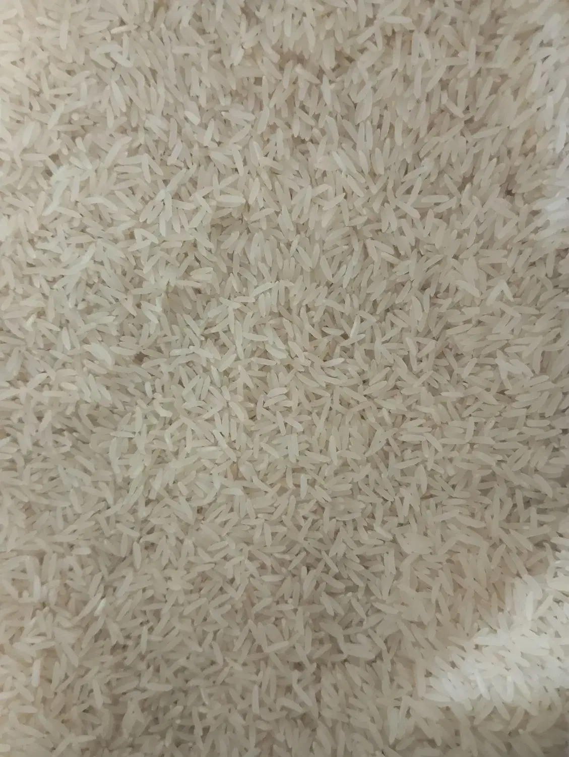 برنج فجر سوزنی|خوردنی و آشامیدنی|گنبد کاووس, |دیوار