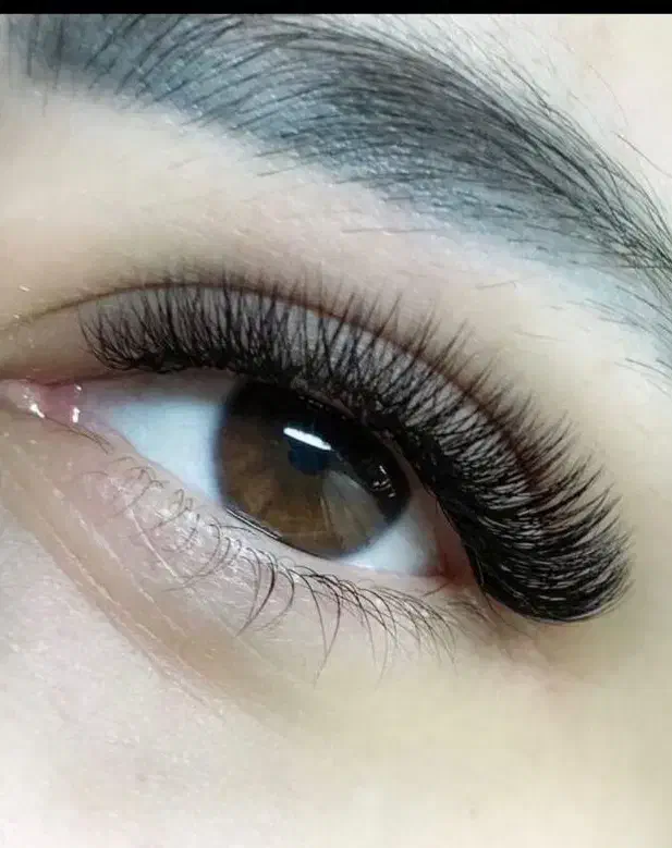 تخفیف پاییزه کاشت و اکستنشن مژه و احیای مو|خدمات آرایشگری و زیبایی|ری, ظهیرآباد|دیوار