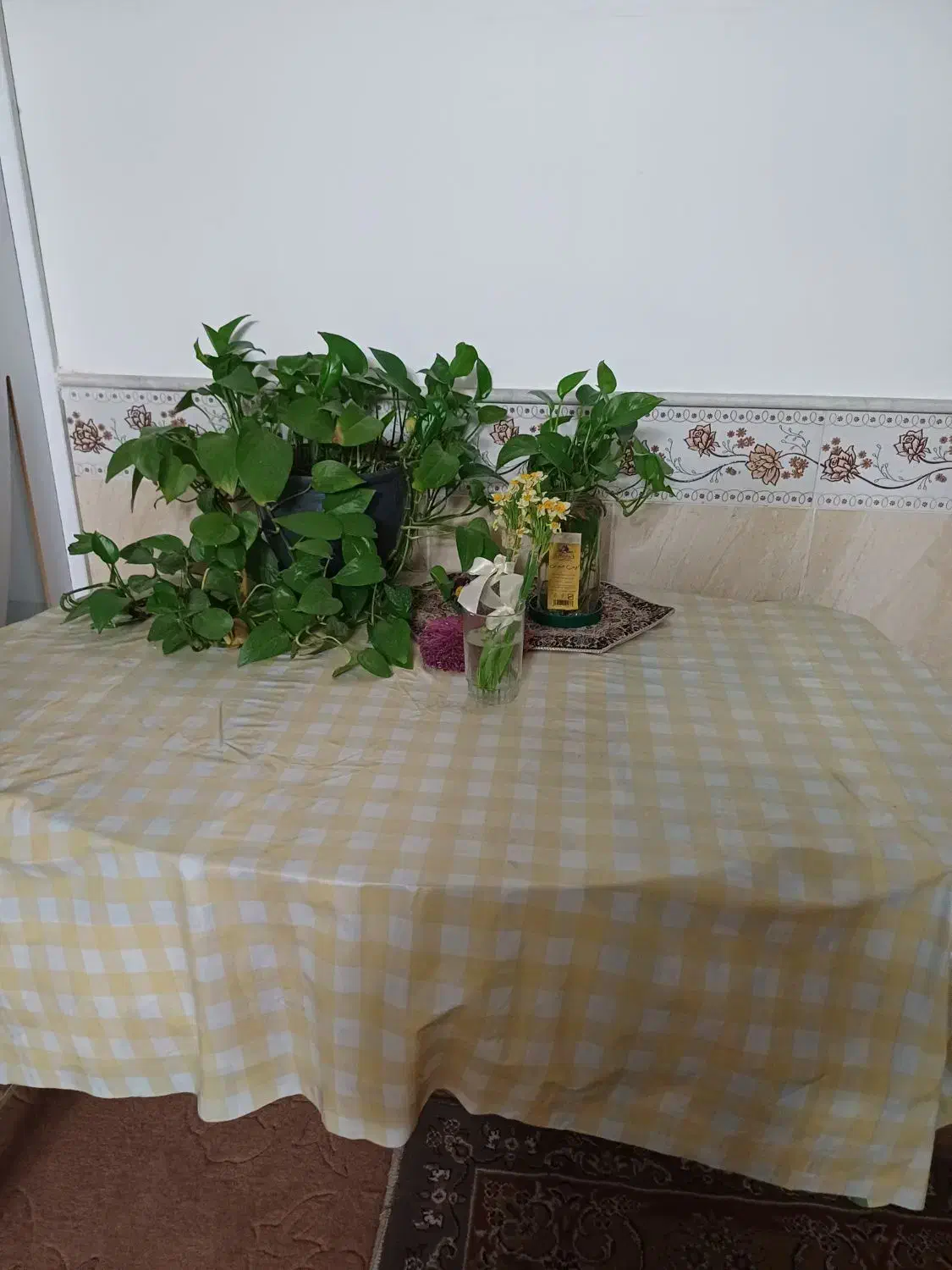 میز ناهارخوری|میز و صندلی غذاخوری|قم, ناصردیوان|دیوار