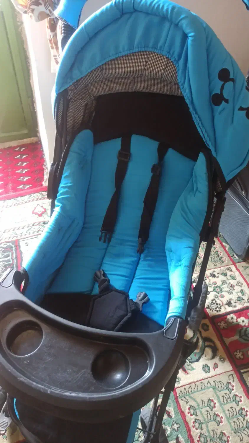 کالسکه و کریر|کالسکه و لوازم جانبی|لردگان, |دیوار