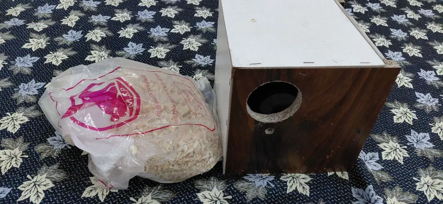 لانه عروس هلندی|لوازم جانبی حیوانات|اسلامشهر, شهرک محمدیه|دیوار