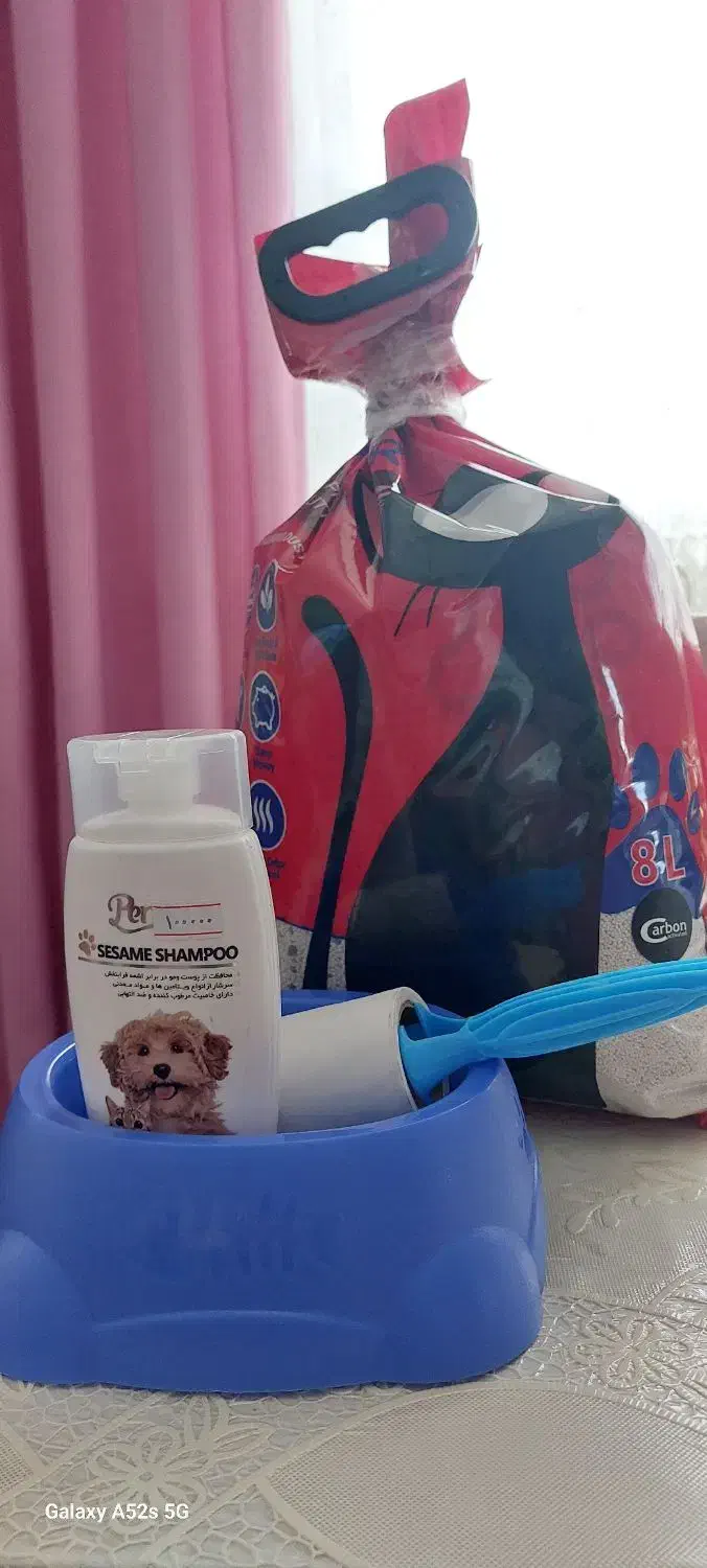 وسایل گربه|گربه|رشت, ترمینال|دیوار