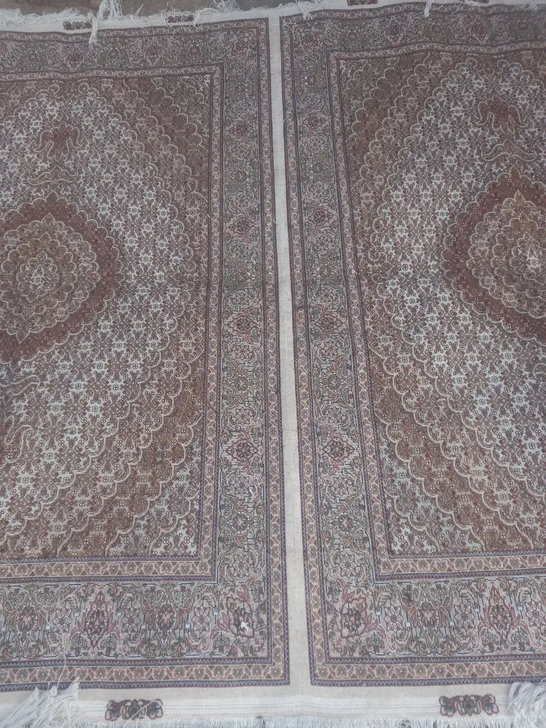 کرم قهوه‌ای تک ۶متری میشه جفت قالیچه هس|فرش|میانه, |دیوار