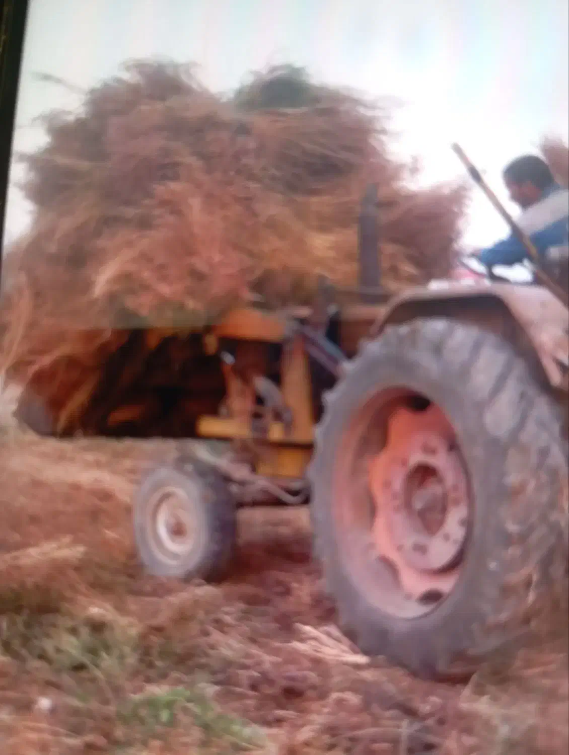 جارو محلی تعداد بالا|لوازم نظافت|سبزوار, کلاته سیفر|دیوار