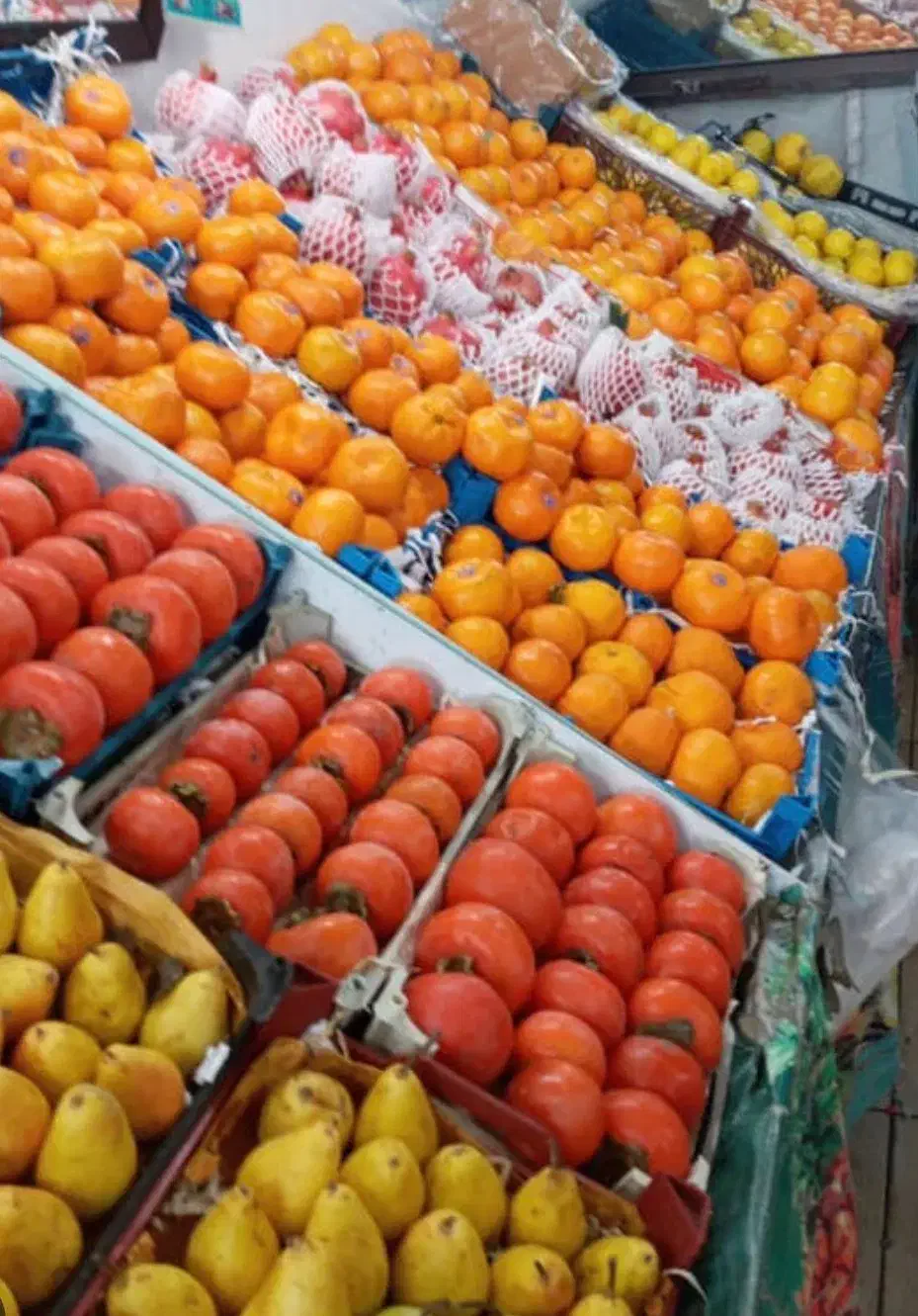 فروشنده میوه|استخدام خدمات فروشگاه و رستوران|تهران, اختیاریه|دیوار