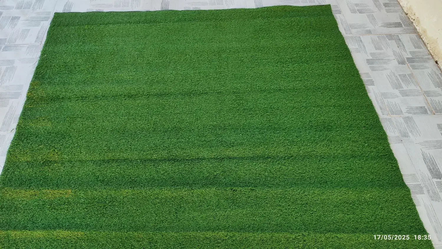 موکت چمنی|موکت|ساری, |دیوار