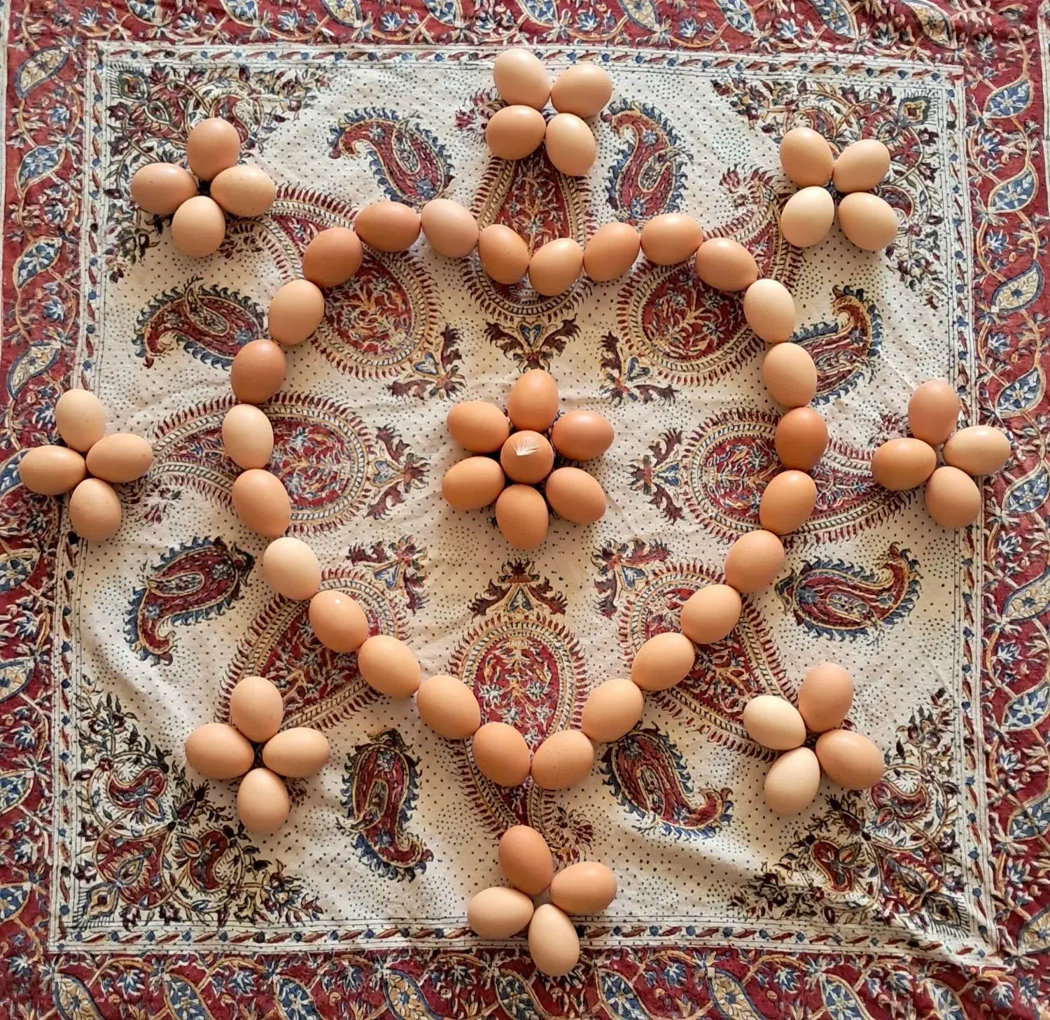 تخم مرغ بومی گلپایگانی گنجینه|خوردنی و آشامیدنی|اصفهان, شیخ طوسی|دیوار