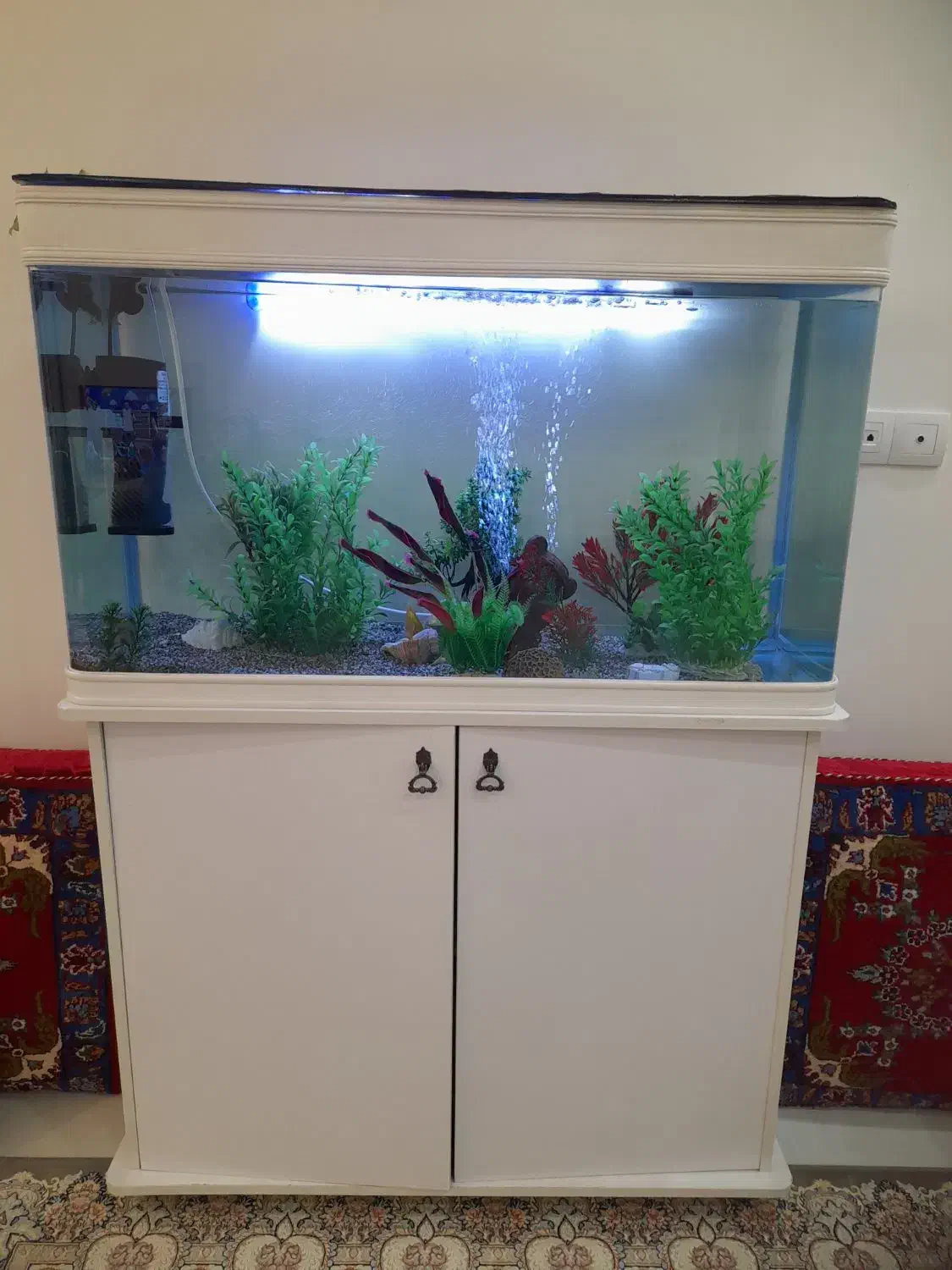 آکواریوم شیشه خم با پایه با تمام وسایل|ماهی|یونسی, |دیوار