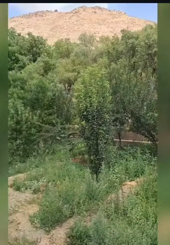 باغ مشجر  ۱.۲۰۰ متری نزدیک شهر|فروش خانه و ویلا|تویسرکان, |دیوار
