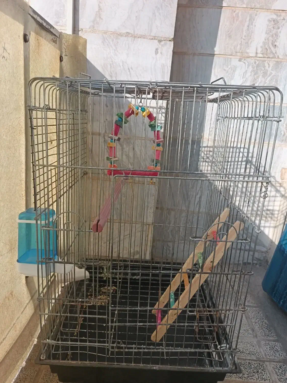 قفس|لوازم جانبی حیوانات|فردیس, فردیس|دیوار