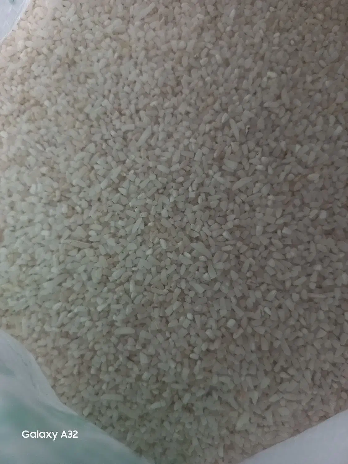 برنج شمال|خوردنی و آشامیدنی|شاهرود, |دیوار