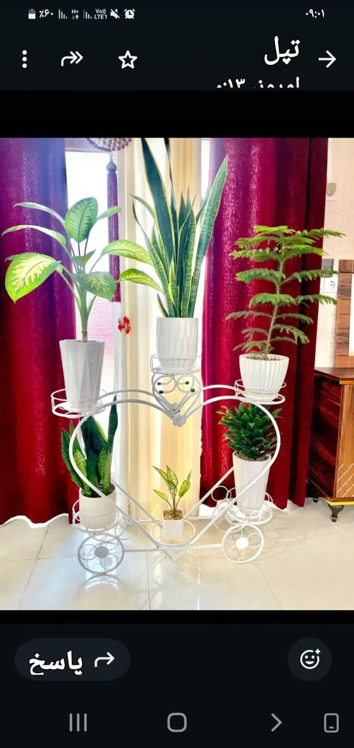 استند گل|گل و گیاه طبیعی|اهواز, رسالت|دیوار