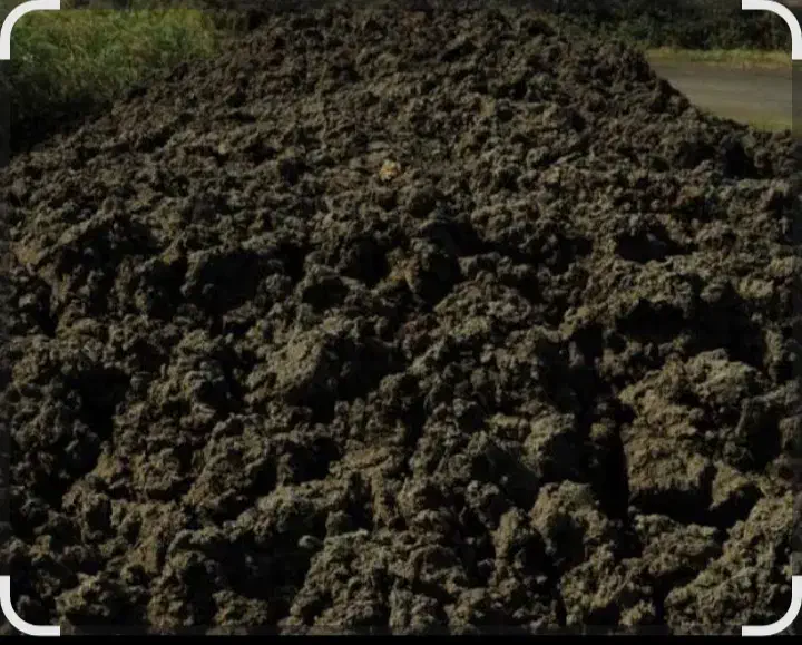 کود|گل و گیاه طبیعی|شیروان (خراسان), |دیوار