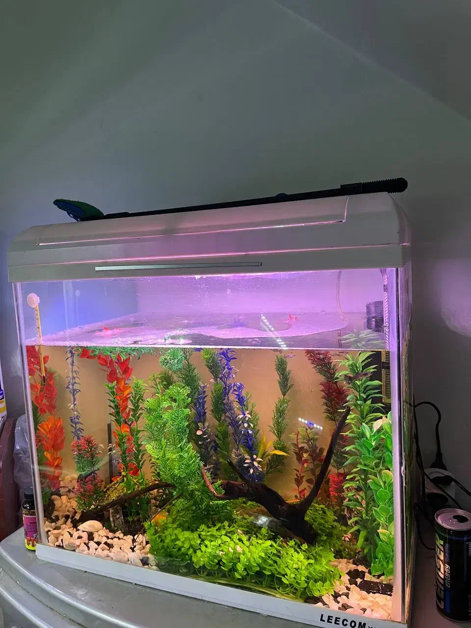 آکواریوم گوپی با تجهیزات|ماهی|اردبیل, |دیوار