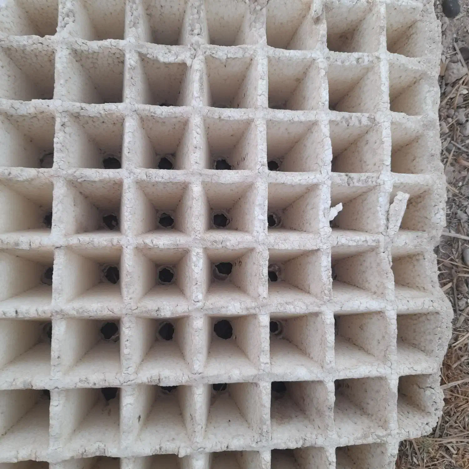 سینی ۲۱۸ دارم واسه فروش|خدمات باغبانی و درختکاری|کاکی, |دیوار