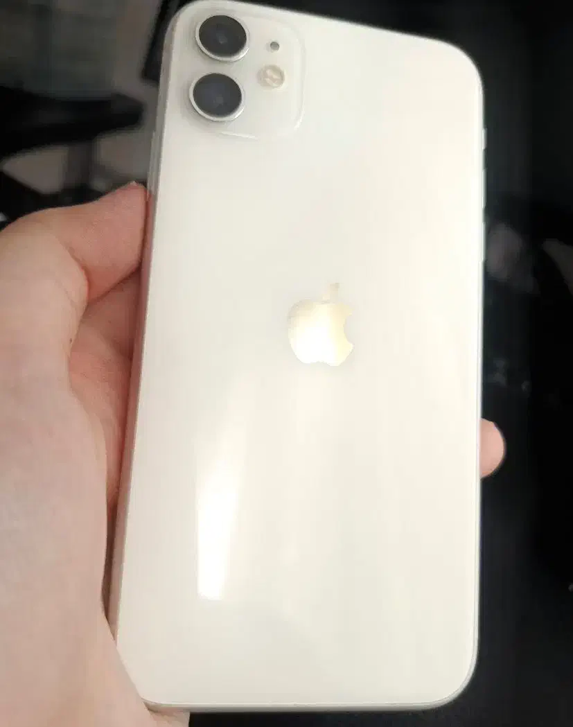 آیفون ۱۱ نرمال|موبایل|تبریز, |دیوار