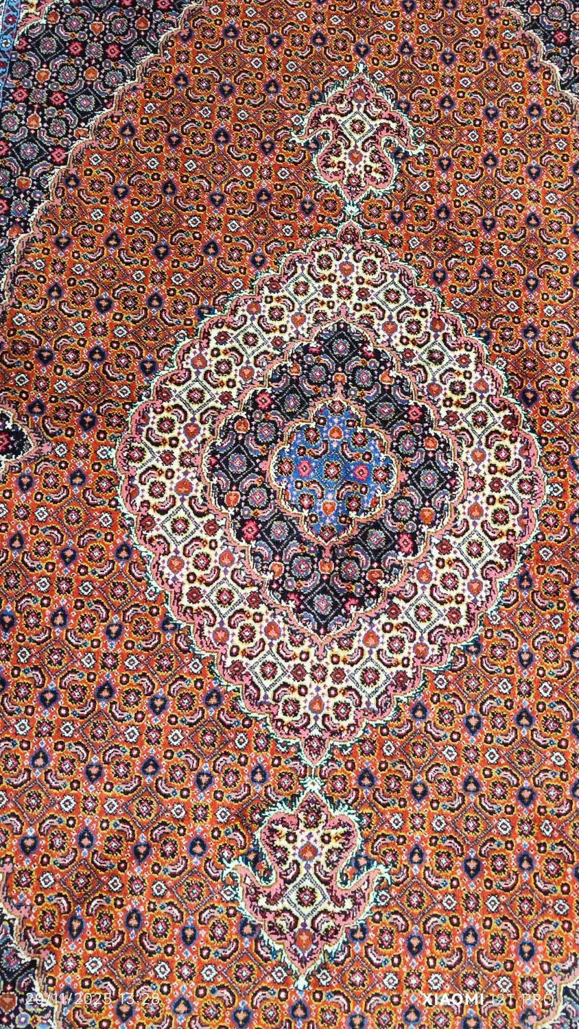 فرش دستباف اردبیل|فرش|اردبیل, |دیوار