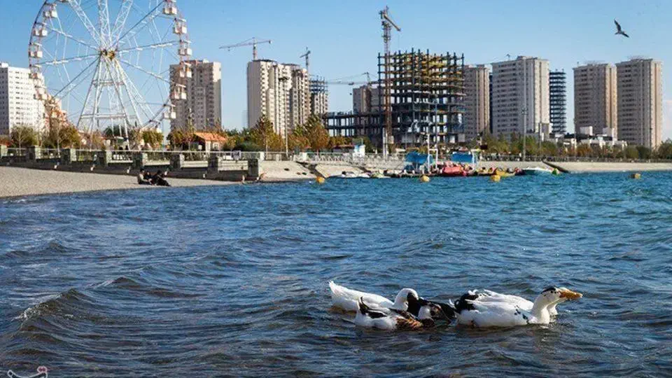 ثبت نام واحد97متری/چیتگر/تهاتر محدود/اقساطی|فروش آپارتمان|کرج, جهان‌شهر|دیوار