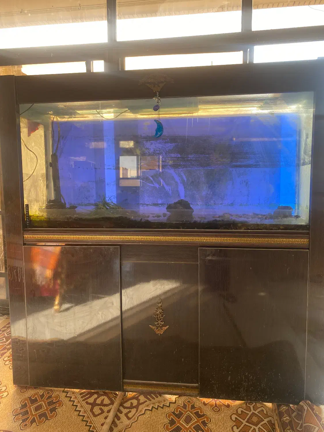 اکواریوم بسیار شیک و بزرگ|ماهی|اصفهان, باغ زیار|دیوار