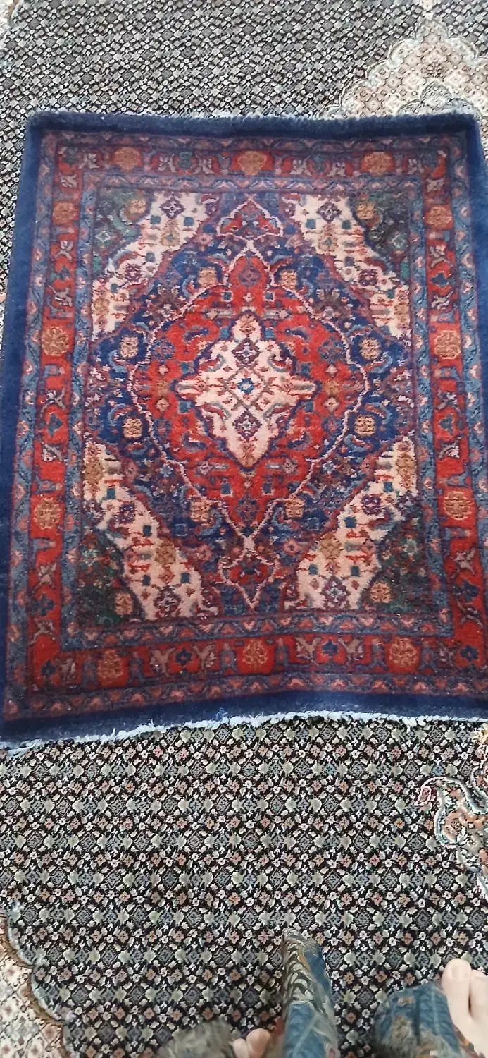 فرش اردکان وساروق|فرش|تهران, شهرک نفت|دیوار