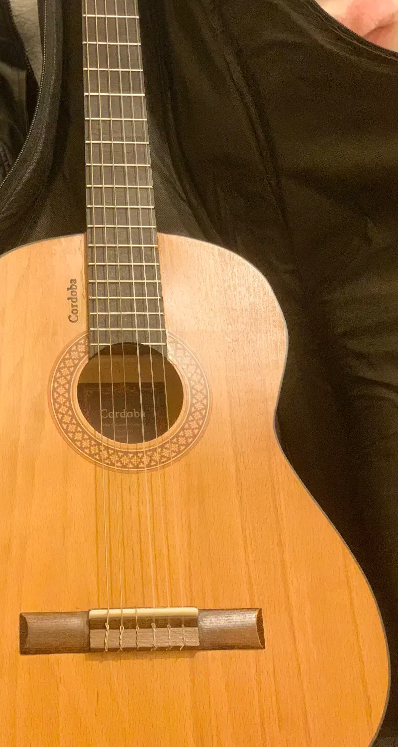 گیتار کوردوبا|گیتار، بیس، امپلیفایر|کرمان, |دیوار
