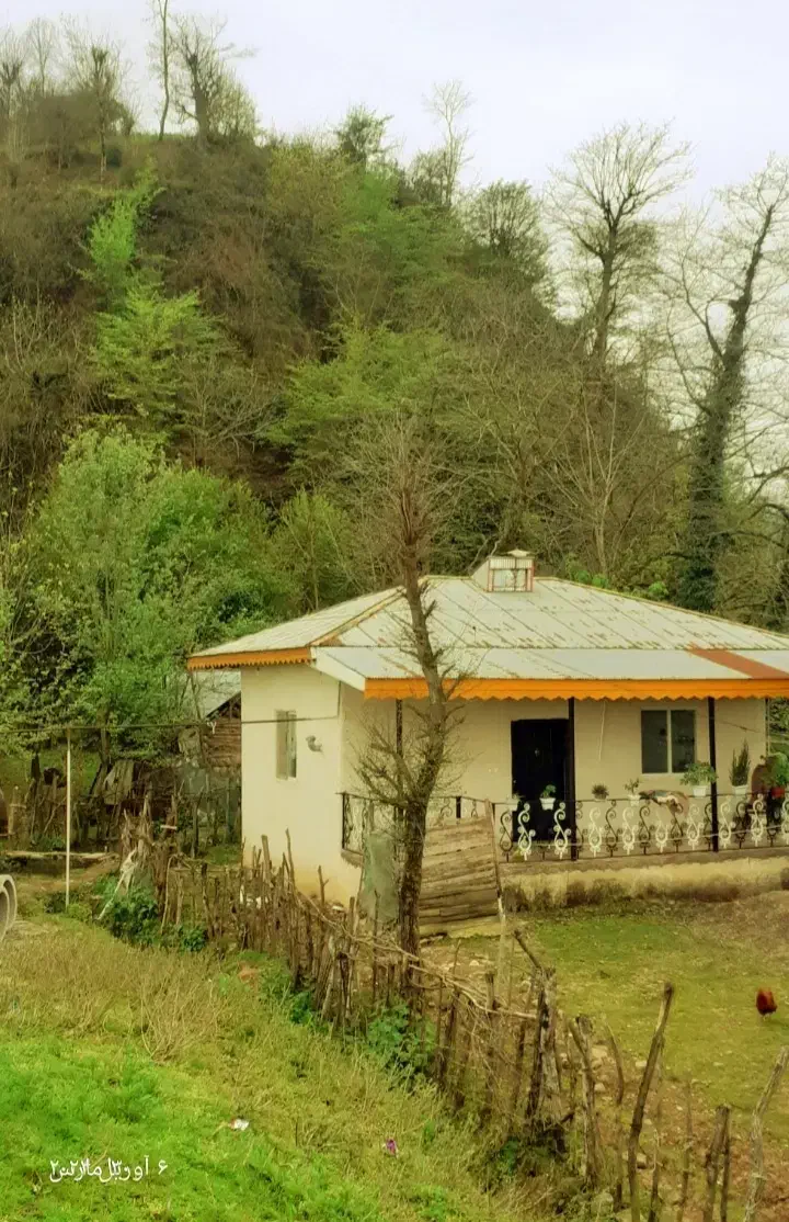 اجاره روزانه ویلا در دل طبیعت از امشب خالی|اجارهٔ کوتاه‌مدت ویلا و باغ|ماسال, |دیوار