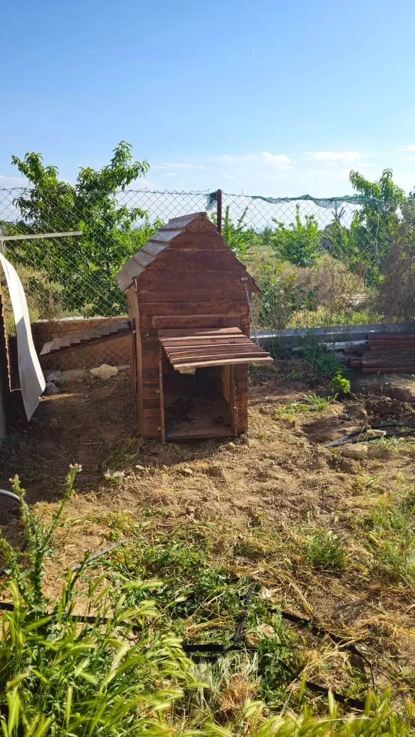 خانه لوکس و مقاوم سگهای بزرگ|لوازم جانبی حیوانات|باغستان, |دیوار