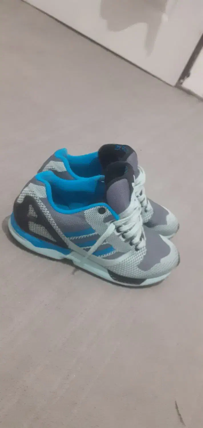 زدایکس فلوکس|کیف، کفش، کمربند|بهارستان, |دیوار