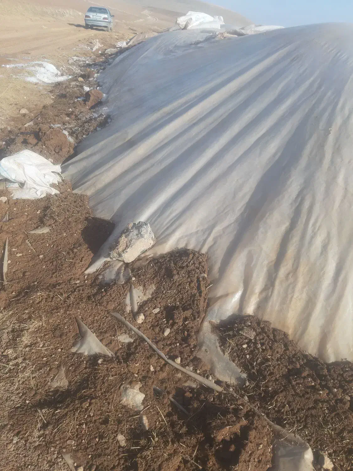 کاه|لوازم جانبی حیوانات|سنقر, |دیوار