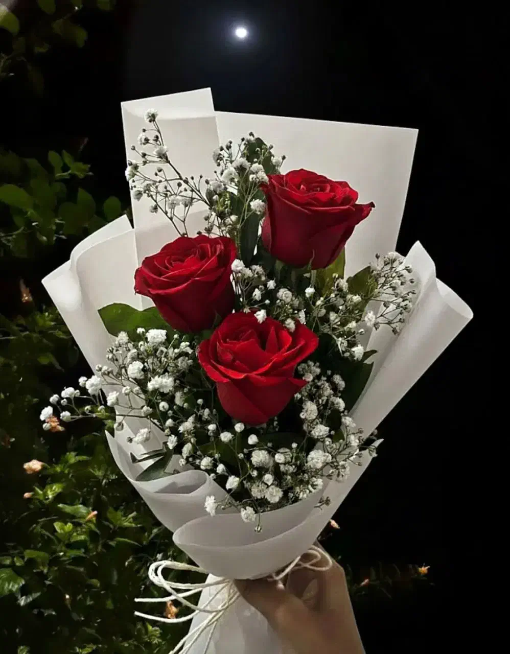 دستهکل رز|گل و گیاه طبیعی|فولادشهر, فولادشهر|دیوار