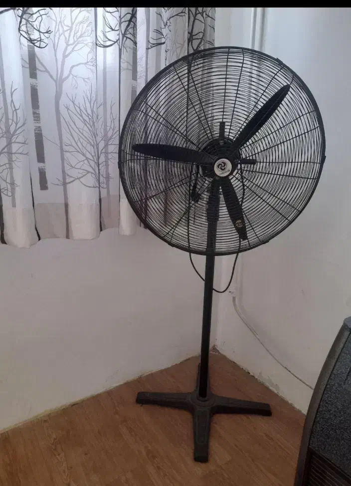 پنکه صنعنی برندتایفون|پنکه و تصفیه‌کنندهٔ هوا|گرگان, |دیوار