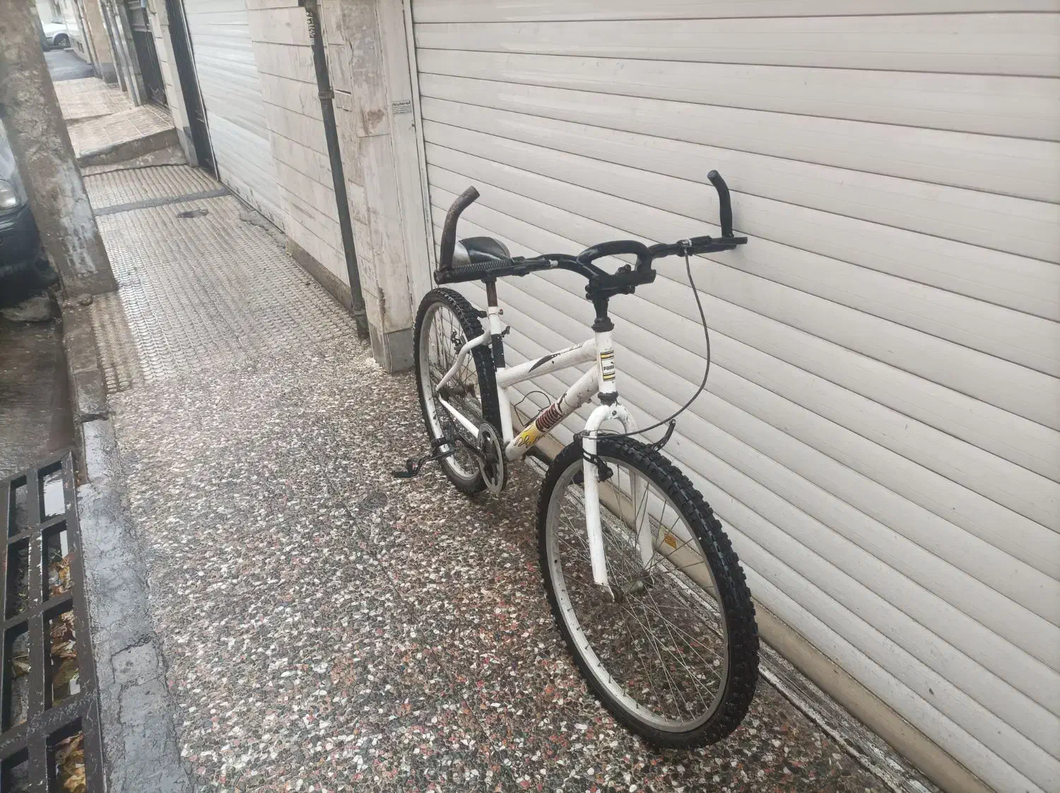 دوچرخه 26 puma|دوچرخه، اسکیت، اسکوتر|ری, شهادت|دیوار