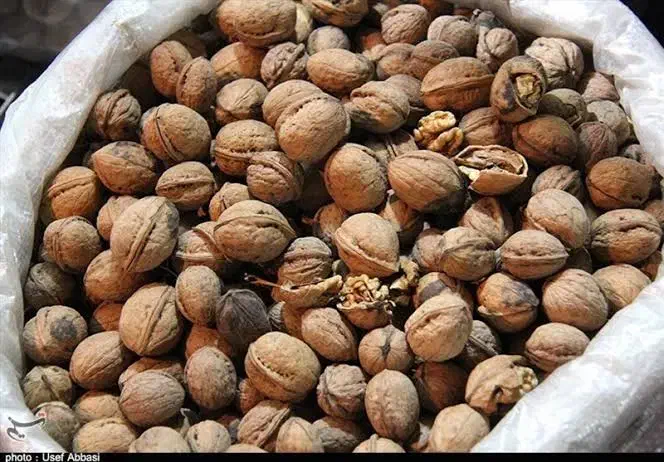 گردو چرب آستانه|خوردنی و آشامیدنی|تهران, نظام‌آباد|دیوار