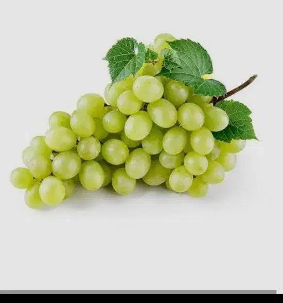 انگور شمارو به قیمت روز بازار خریداریم به بالاترین|خدمات باغبانی و درختکاری|ارومیه, |دیوار
