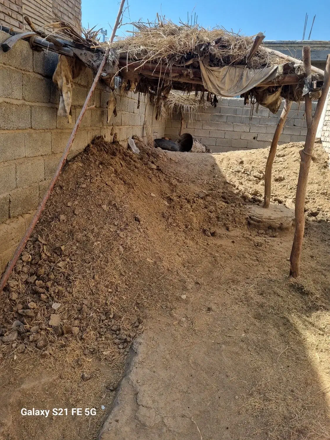 کودگاوی|خدمات باغبانی و درختکاری|عنبرآباد, |دیوار