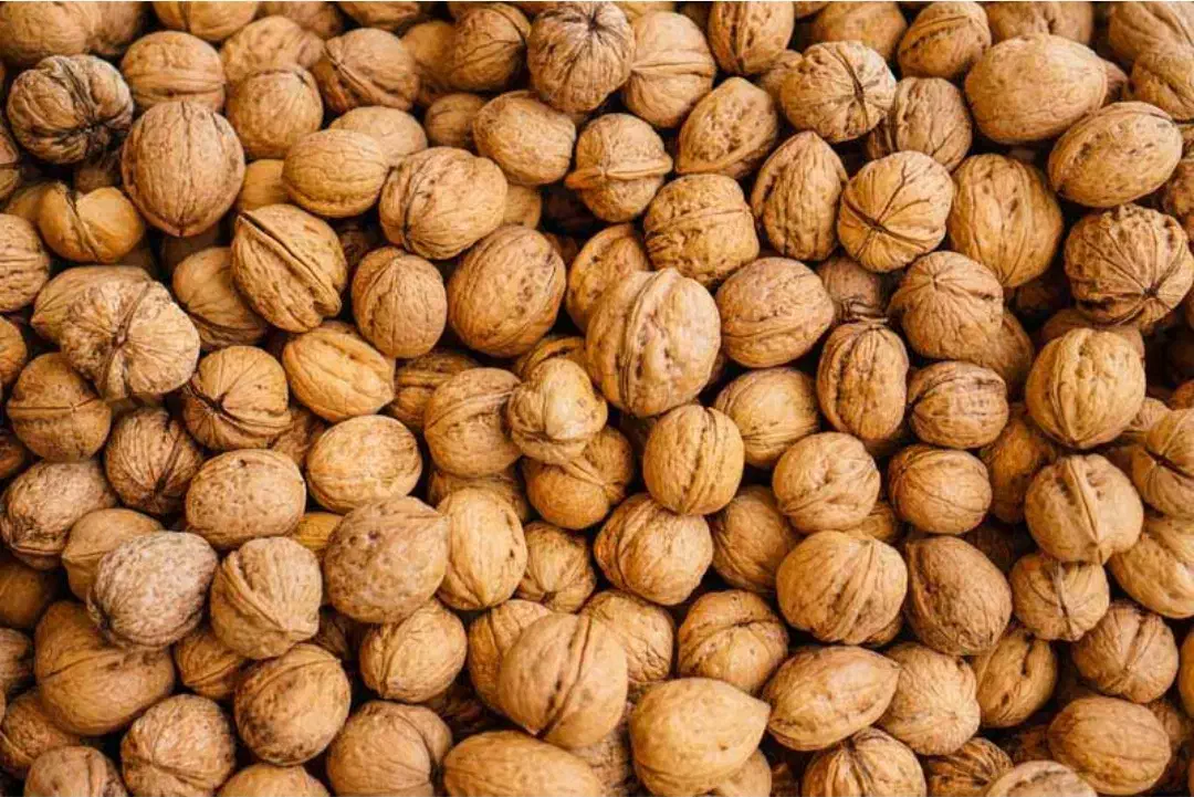 گردو کاغذی درجه یک|خوردنی و آشامیدنی|انگوت, |دیوار