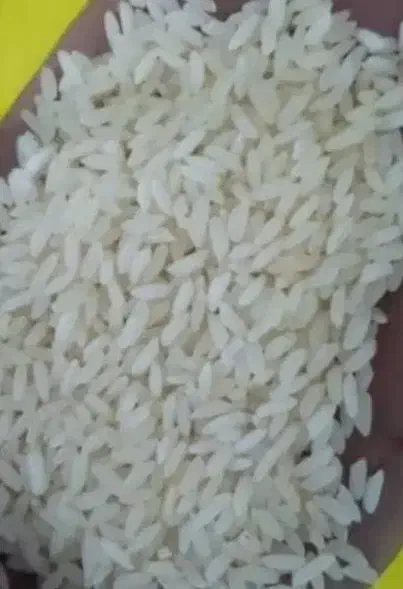 برنج عنبربو دیره|خوردنی و آشامیدنی|سرپل ذهاب, |دیوار